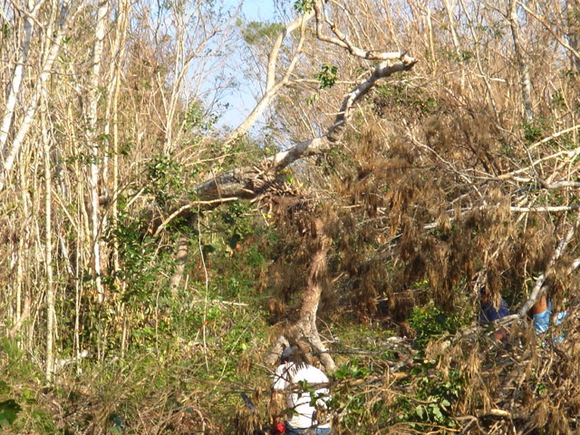 dsc00514.jpg